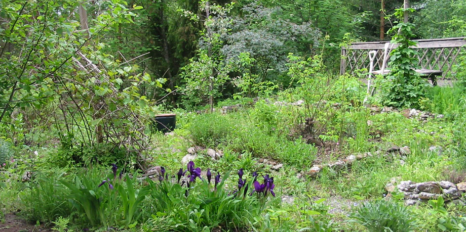 Katajahovi's medieval herb garden.