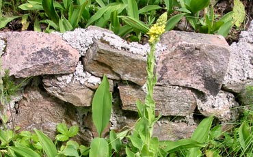 Garden walls made of natural stones.